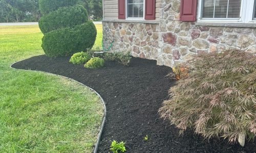 Imagen de WhatsApp 2025-06-25 a las 11.18.46_0c6b321e