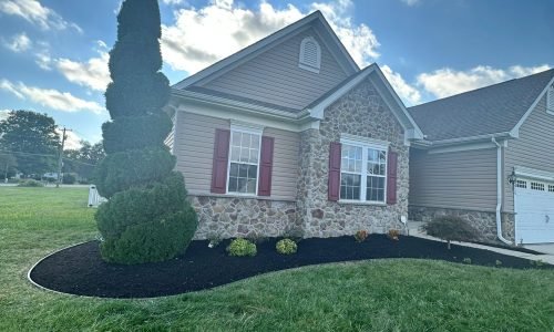 Imagen de WhatsApp 2025-06-25 a las 11.18.47_dd9af489