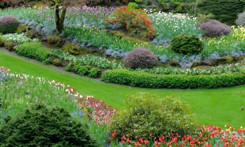 blooming-flowers-butchart-garden-19875229 (1)
